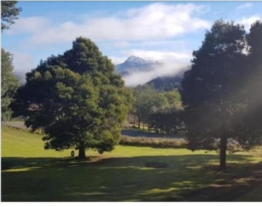 Russell Falls Holiday Cottages National Park Extérieur photo