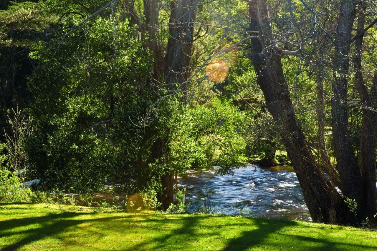 Russell Falls Holiday Cottages National Park Extérieur photo