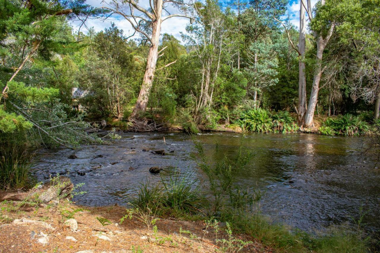 Russell Falls Holiday Cottages National Park Extérieur photo